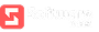 Software team Softoo Partner